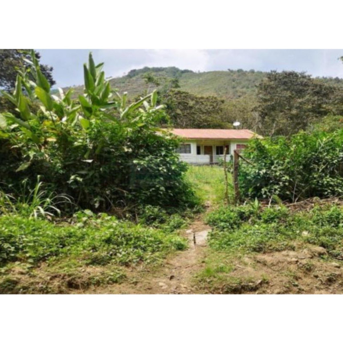 Terrenos Agricolas Finca Mirasol