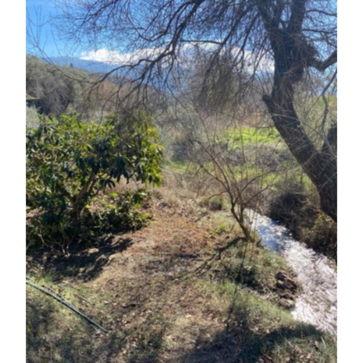TERRENO EN VENTA LA CAMPIÑUELA