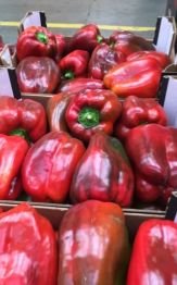 A TU GUSTO C.B MAYORISTA DE FRUTAS