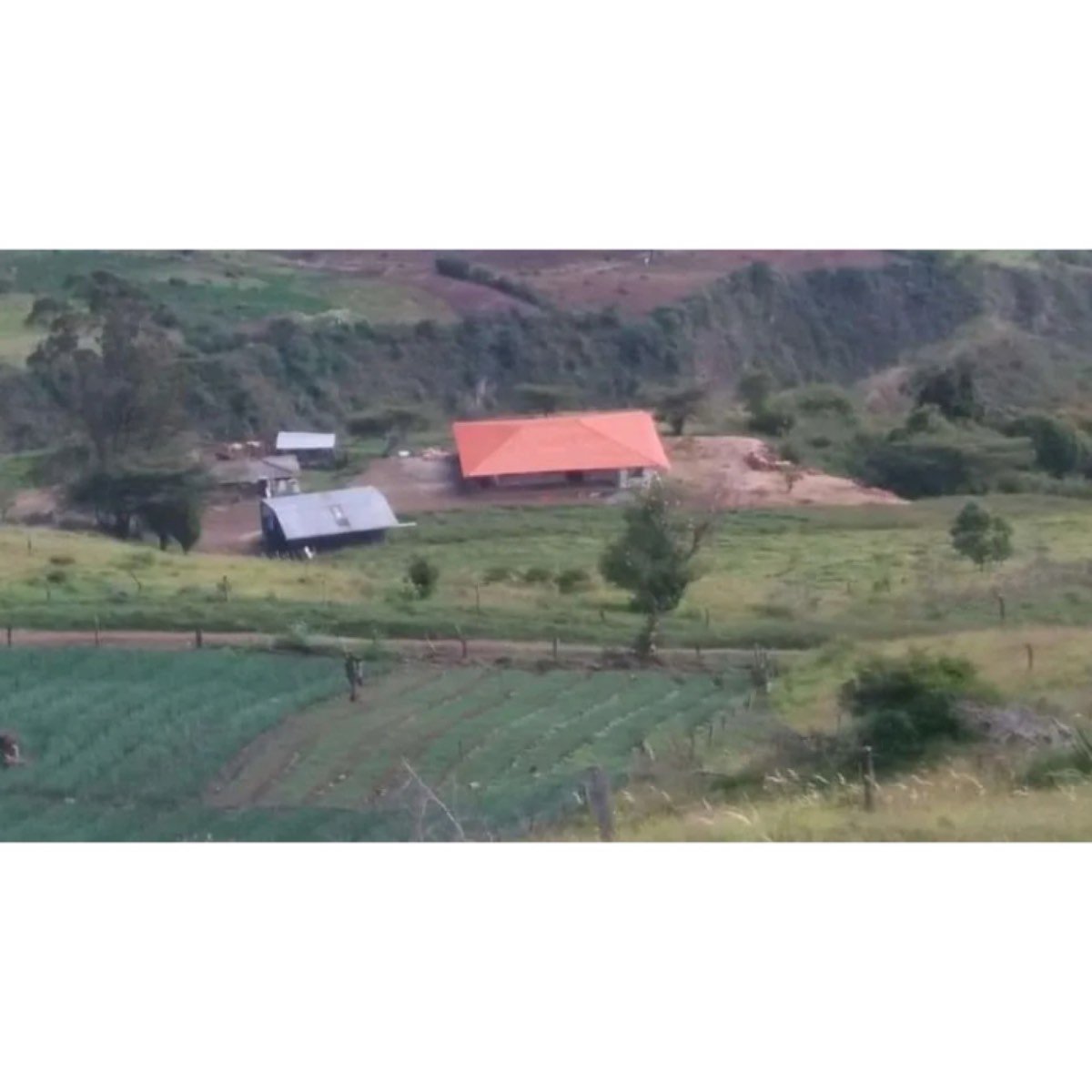 Se Vende Finca Ganadera Y Agricola Palmira Valle