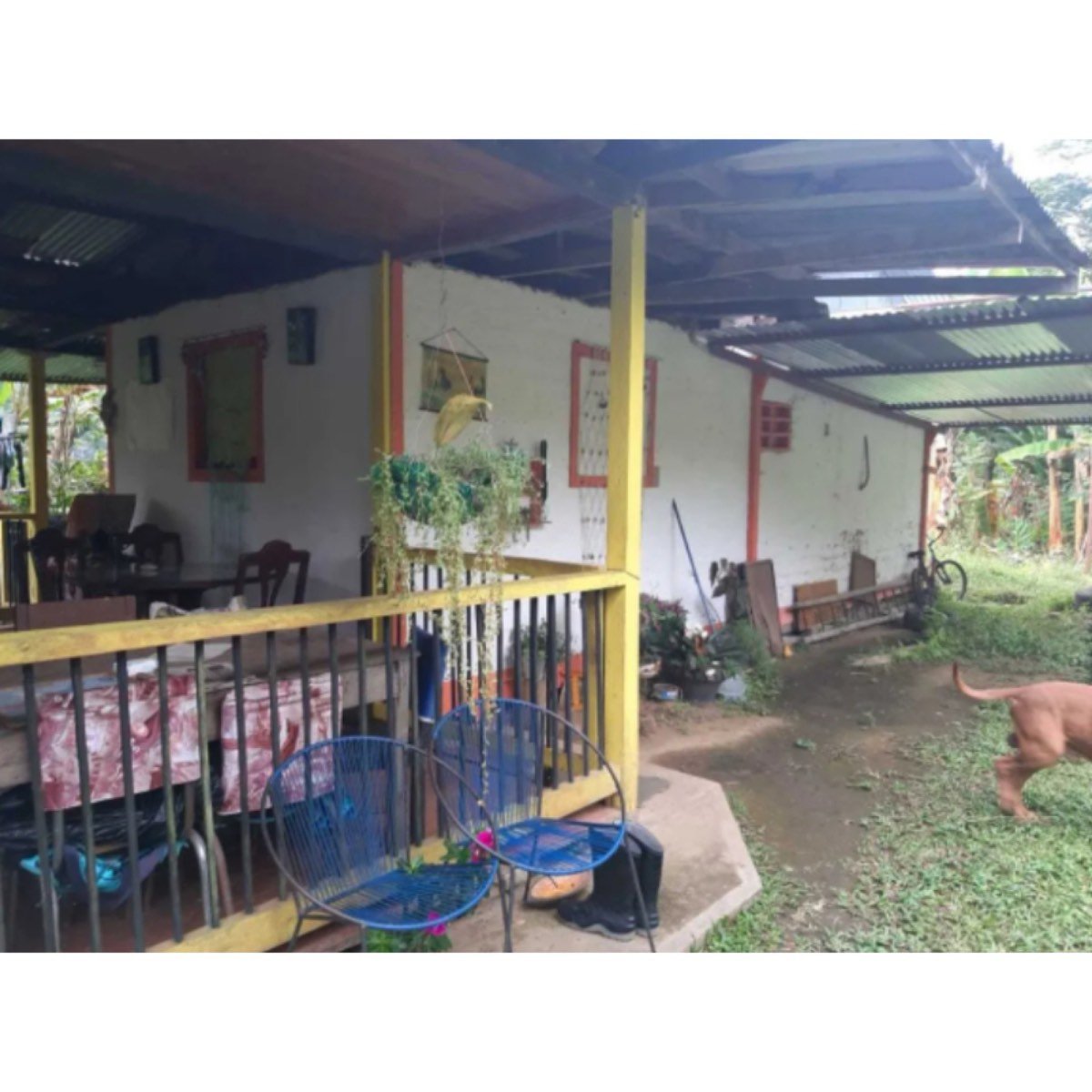 Se Vende Finca De 3 Cuadras En Sevilla