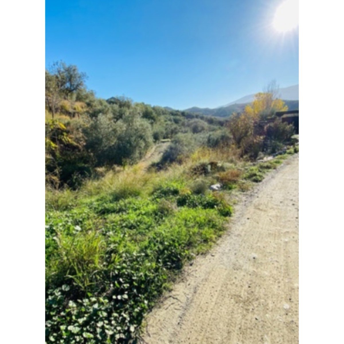TERRENO EN VENTA LA CAMPIÑUELA