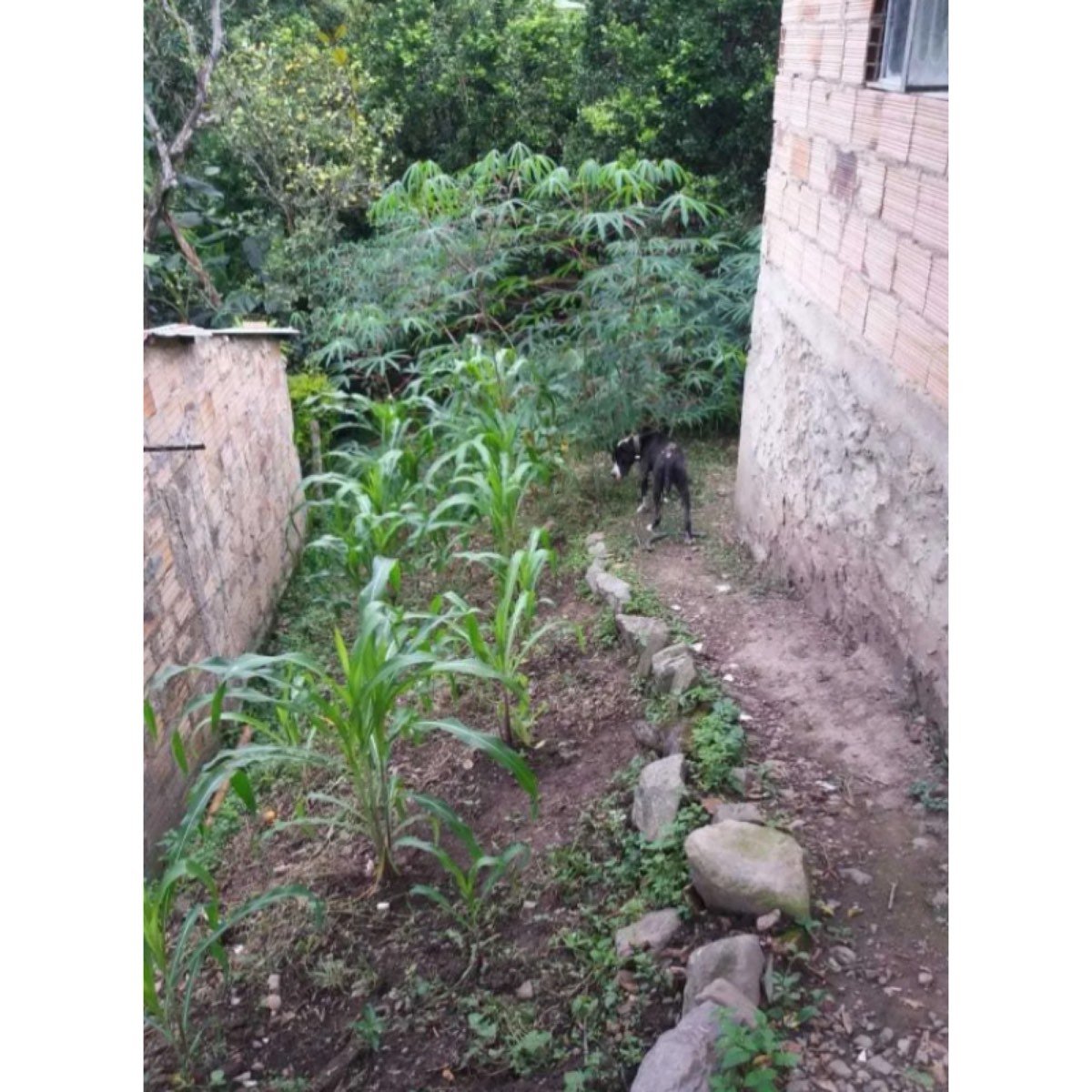 Vendo Casa-lote A 10 Minutos De La Mesa