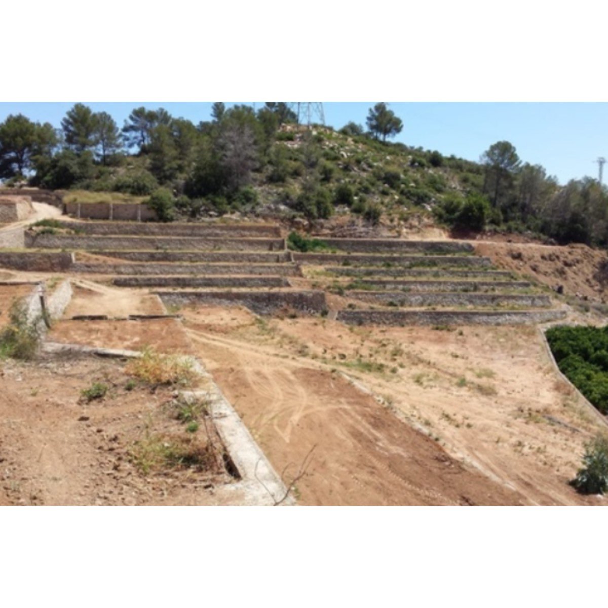 SE VENDE FINCA EN XERESA