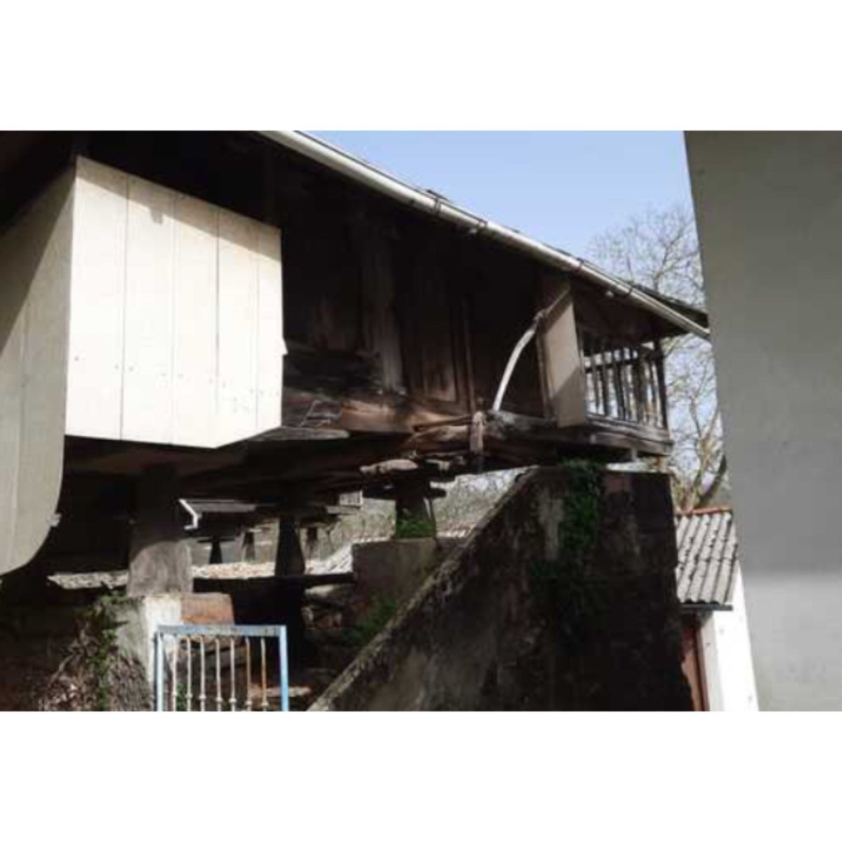 62