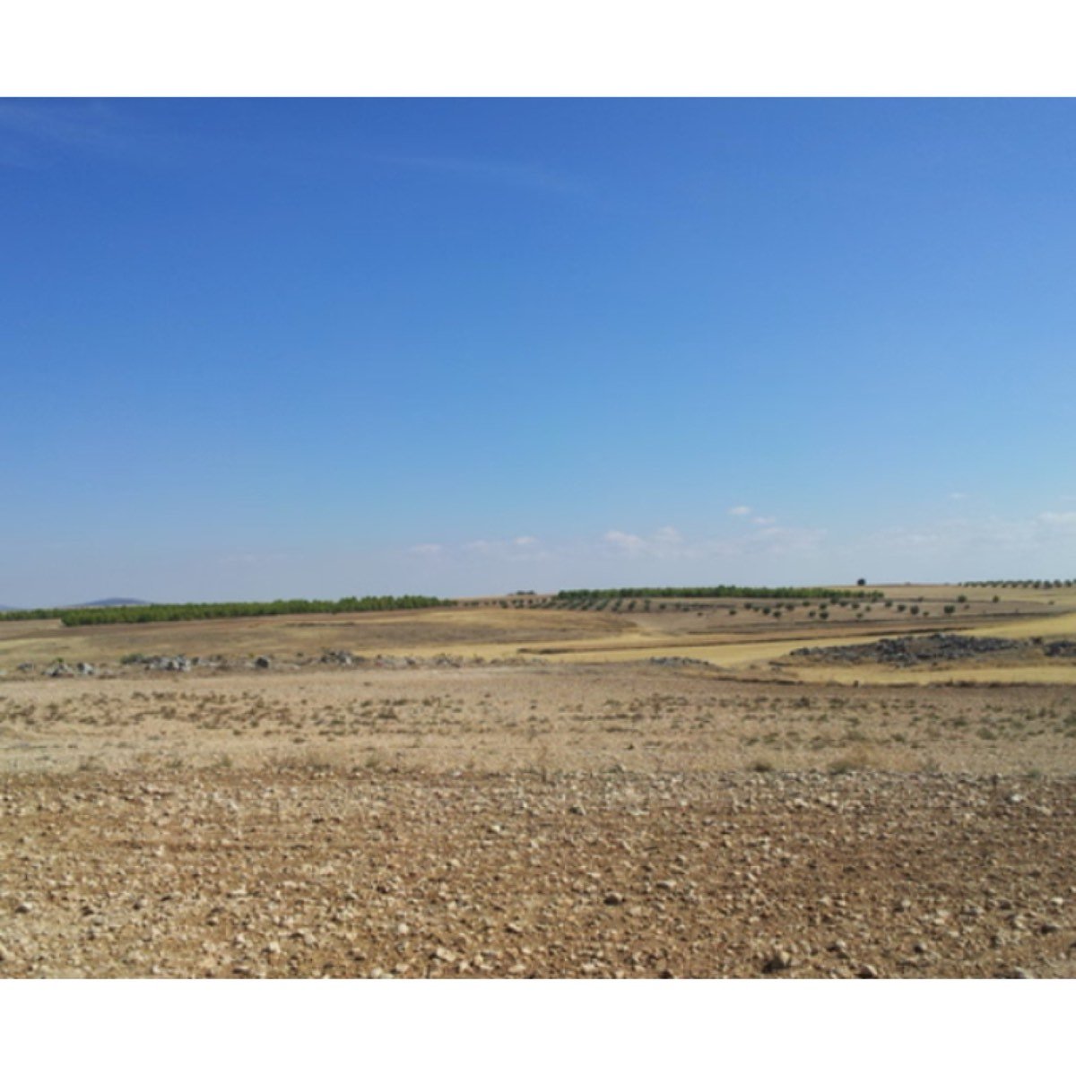 TERRENO A LA VENTA EN CARRETERA ANDALUCIA 40