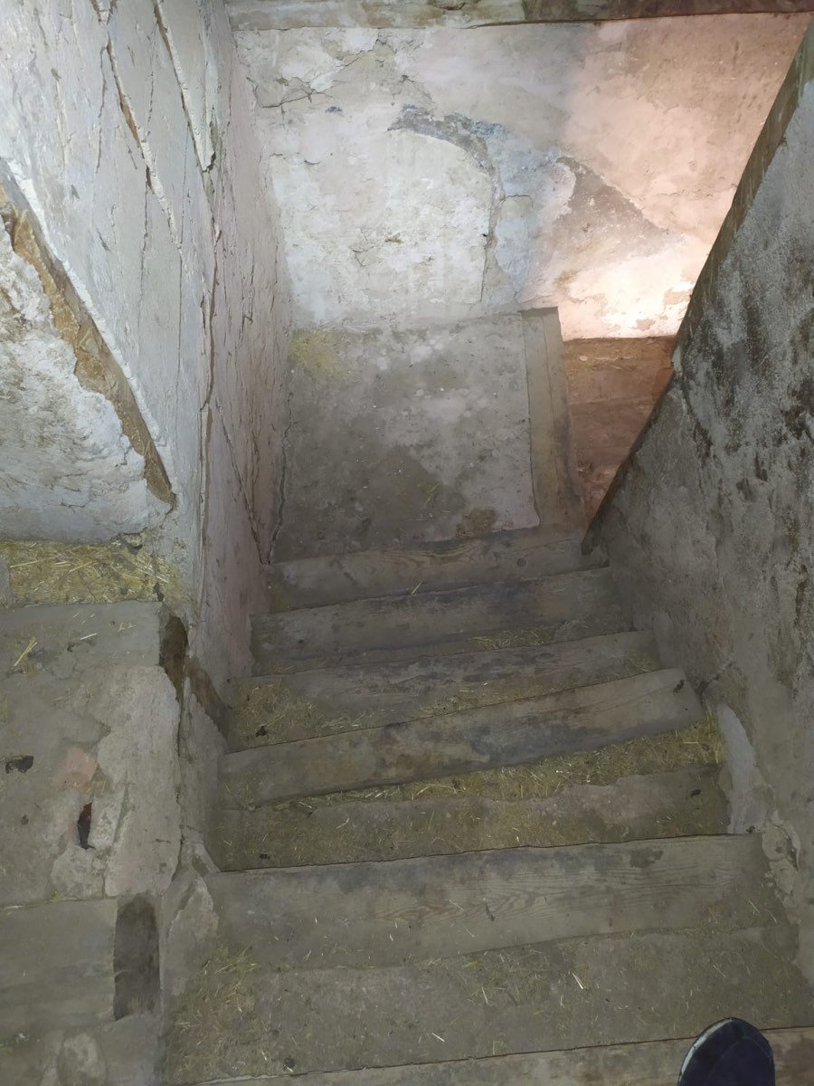 IMG-20220322-WA0016