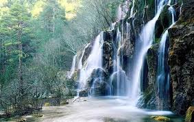 images (4)
