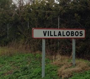 VIILALOBOS -ZAMORA - VENDO 2 PLANTIOS