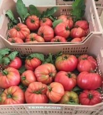VENTA DE FRUTA Y VERDURA A DOMICILIO