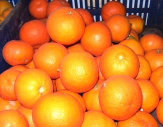 VENTA DE FRUTA Y VERDURA A DOMICILIO