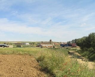VIILALOBOS -ZAMORA - VENDO 2 PLANTIOS
