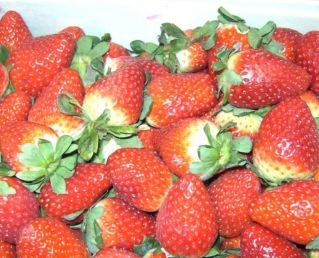 VENTA DE FRUTA Y VERDURA A DOMICILIO