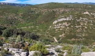 FINCA CON POZO EN ATZENETA MAESTRAT