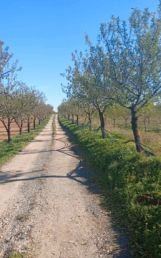 VENTA DE CASA RURAL EN BURGUILLOS DE TOLEDO