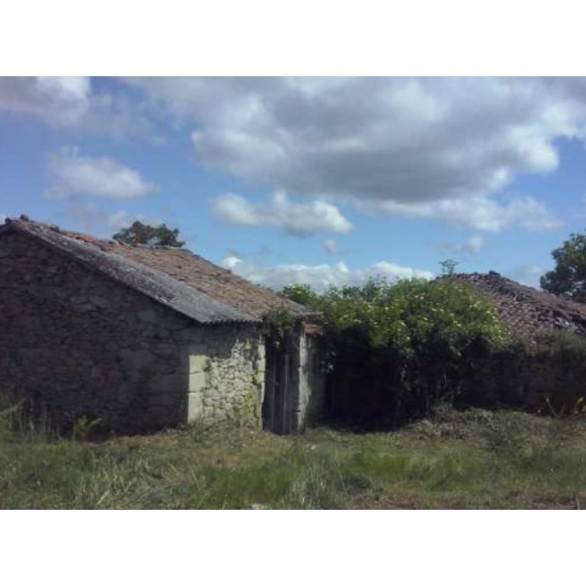 PROYECTO CASA RURAL