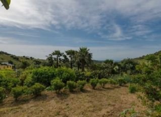 PARCELA RÚSTICO EN ESTEPONA CASA DE 200M