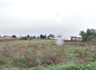 FINCA EN VENTA EN LA JARA