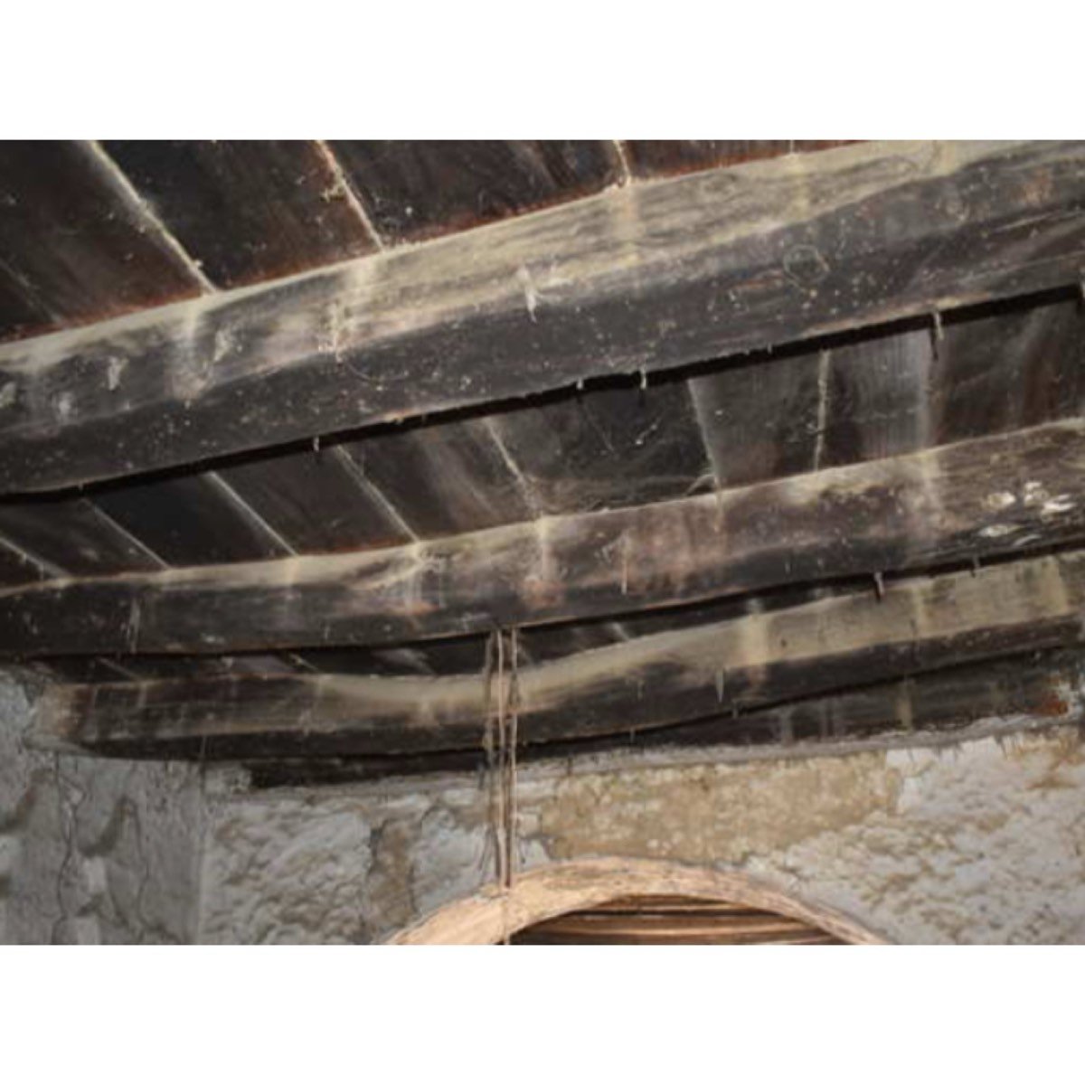 A LA VENTA CASA EN SALORINO - SANTA ANA 4