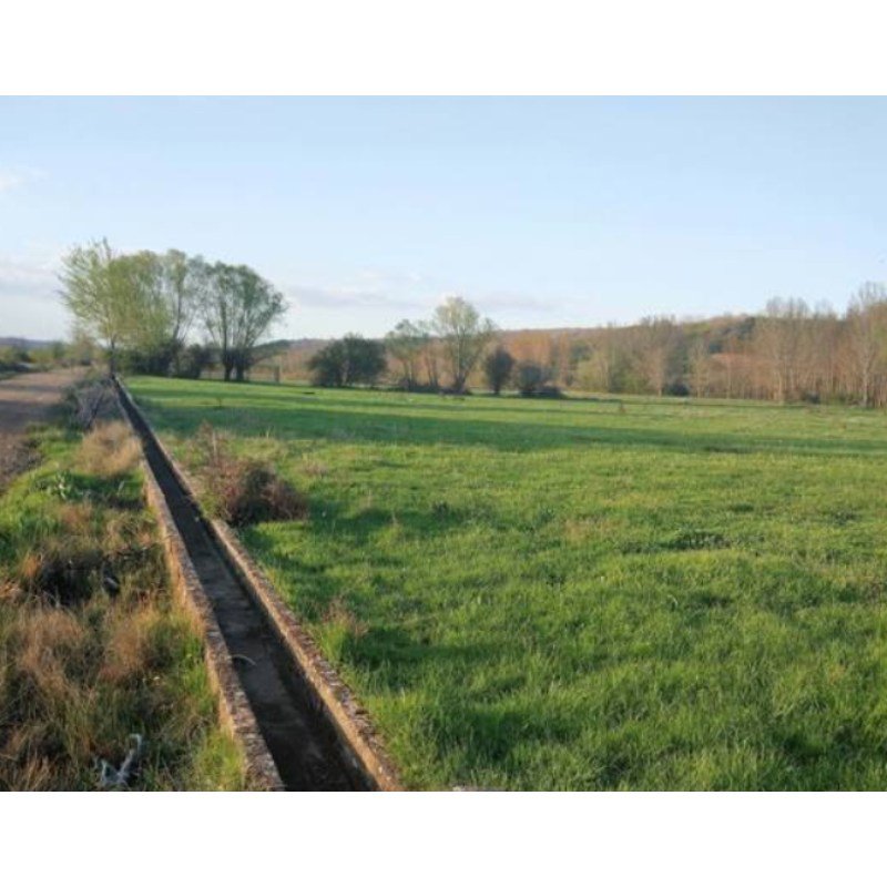 FINCA DE REGADÍO GRADEFES EN VENTA