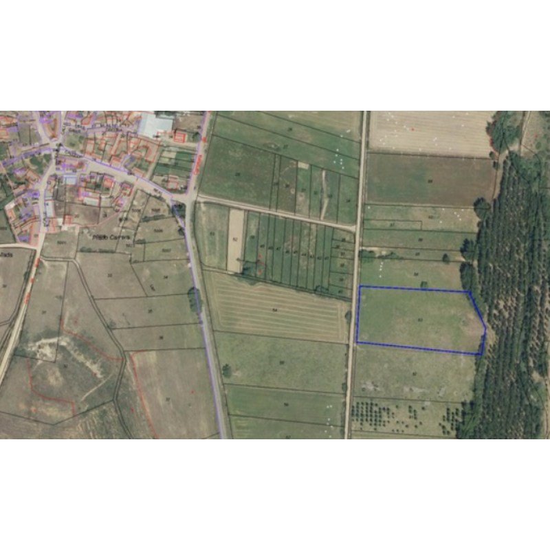 FINCA DE REGADÍO GRADEFES EN VENTA