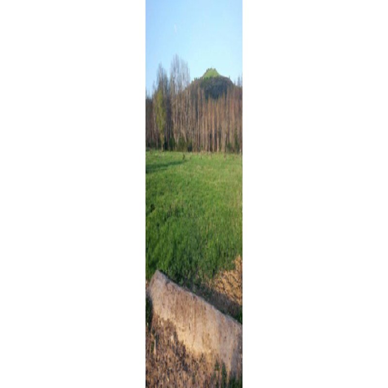 FINCA DE REGADÍO GRADEFES EN VENTA