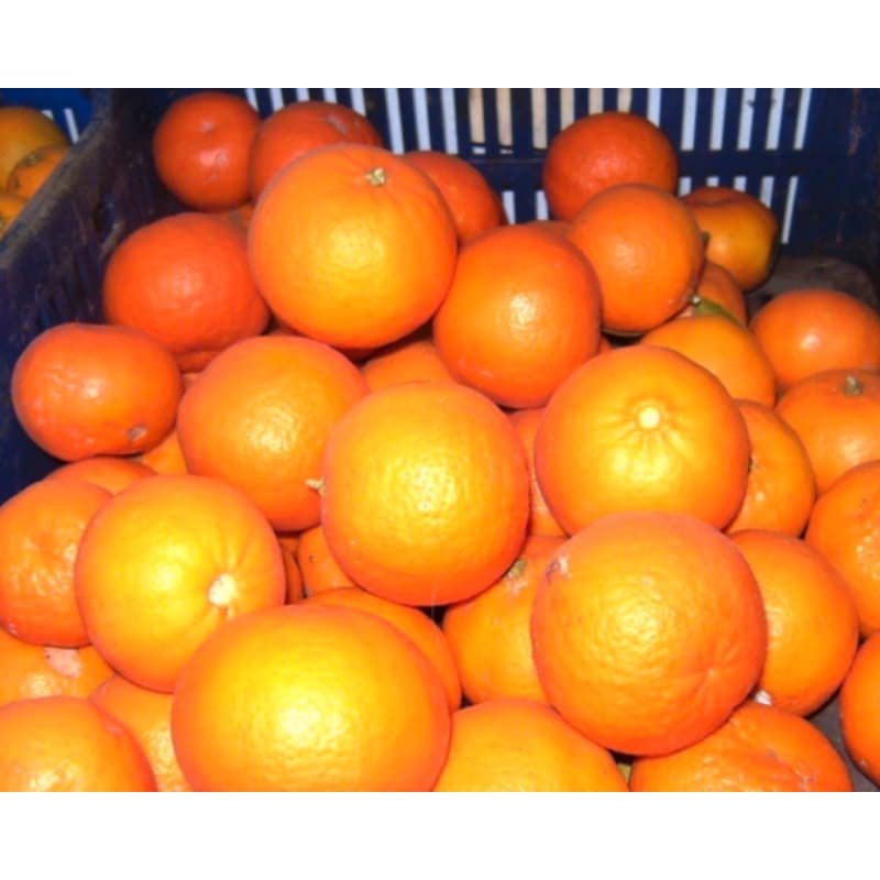SERVICIO DE FRUTA Y VERDURA A DOMICILIO
