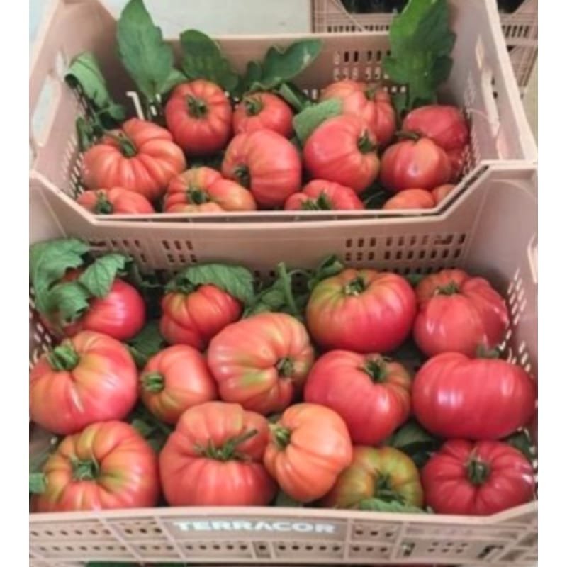 SERVICIO DE FRUTA Y VERDURA A DOMICILIO