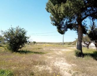 A LA VENTA FINCA EN AUTOVIA ALHAMA-CARTAGENA
