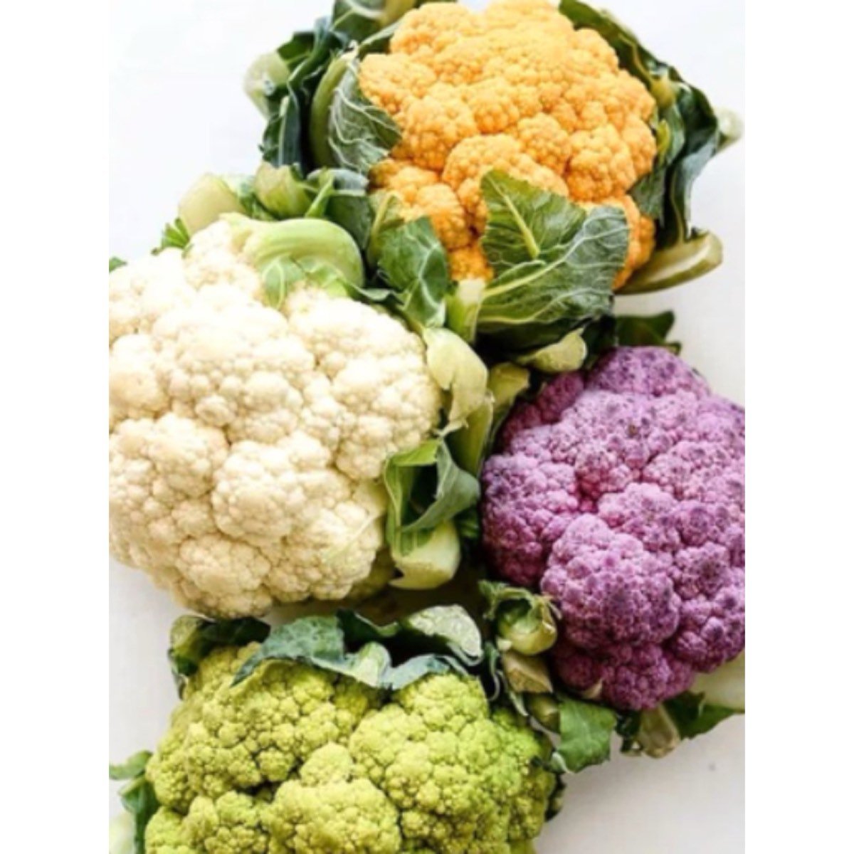VERDURAS Y FRUTAS CONGELADAS