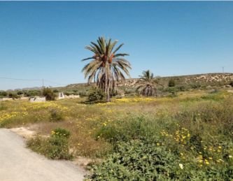 A LA VENTA FINCA EN AUTOVIA ALHAMA-CARTAGENA