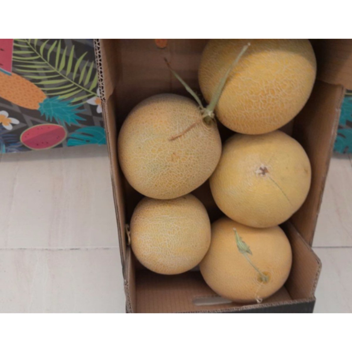 VENDO FRUTAS Y VERDURAS