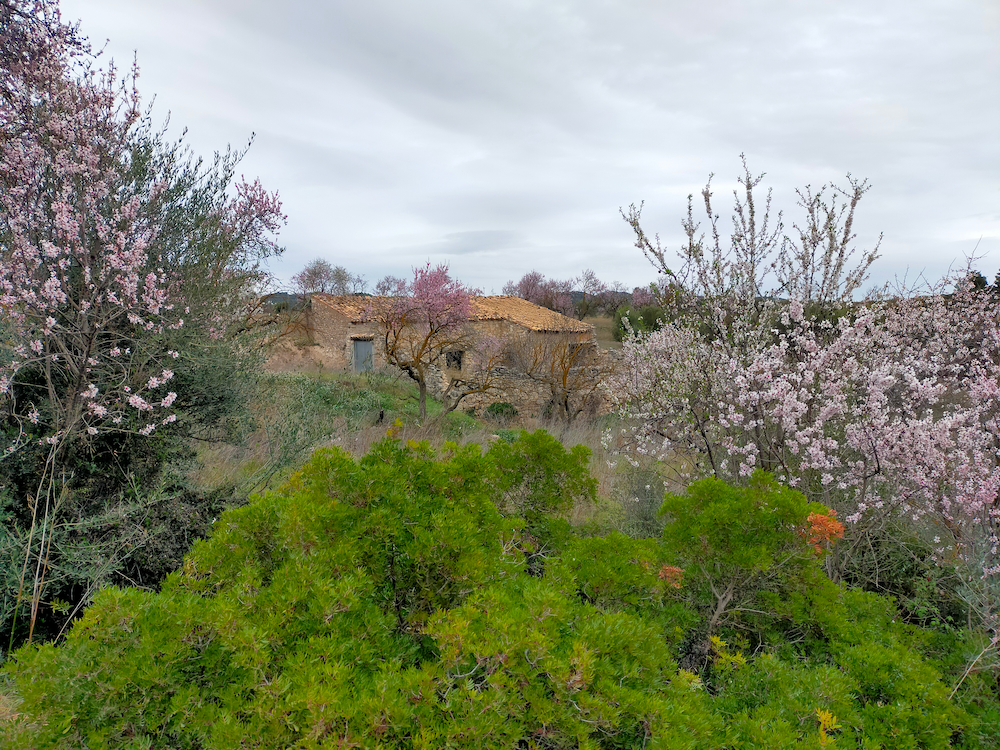 vista casa
