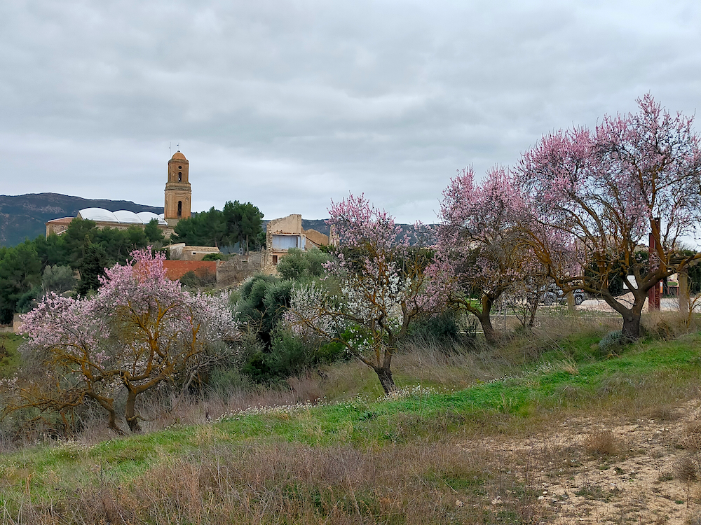 vista esglesia