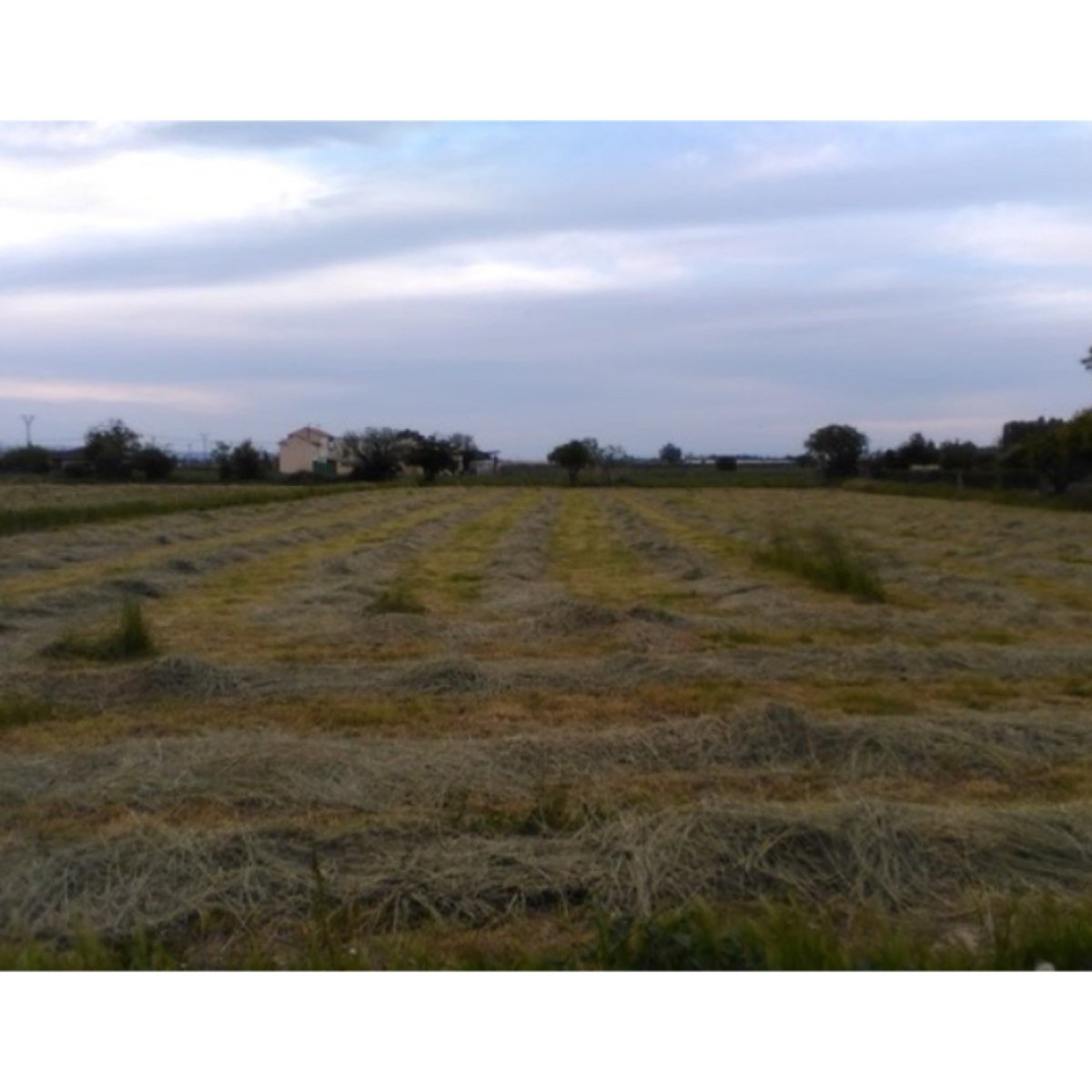 URGE VENTA DE TERRENO