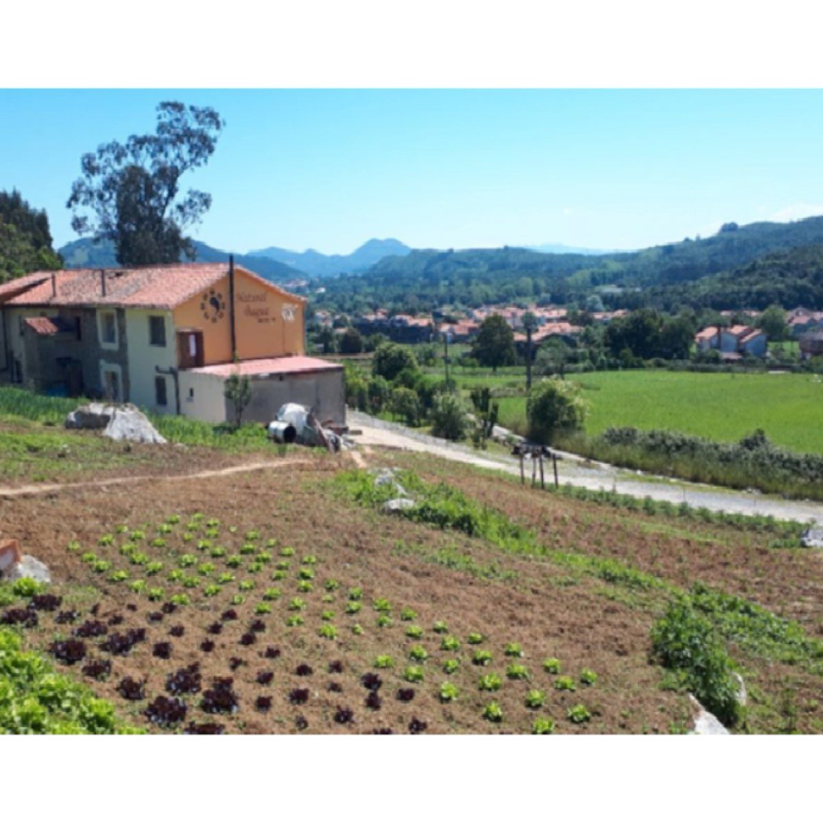 SE VENDE CASA EN BARRIO - CASTILLO