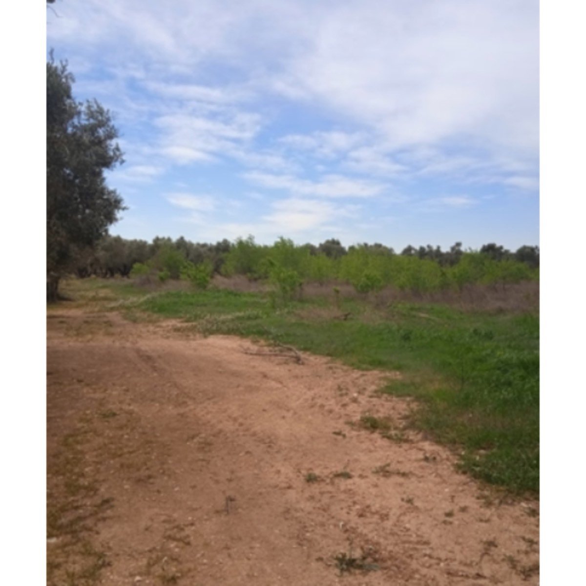 SE VENDE TERRENO EN BELCHITE