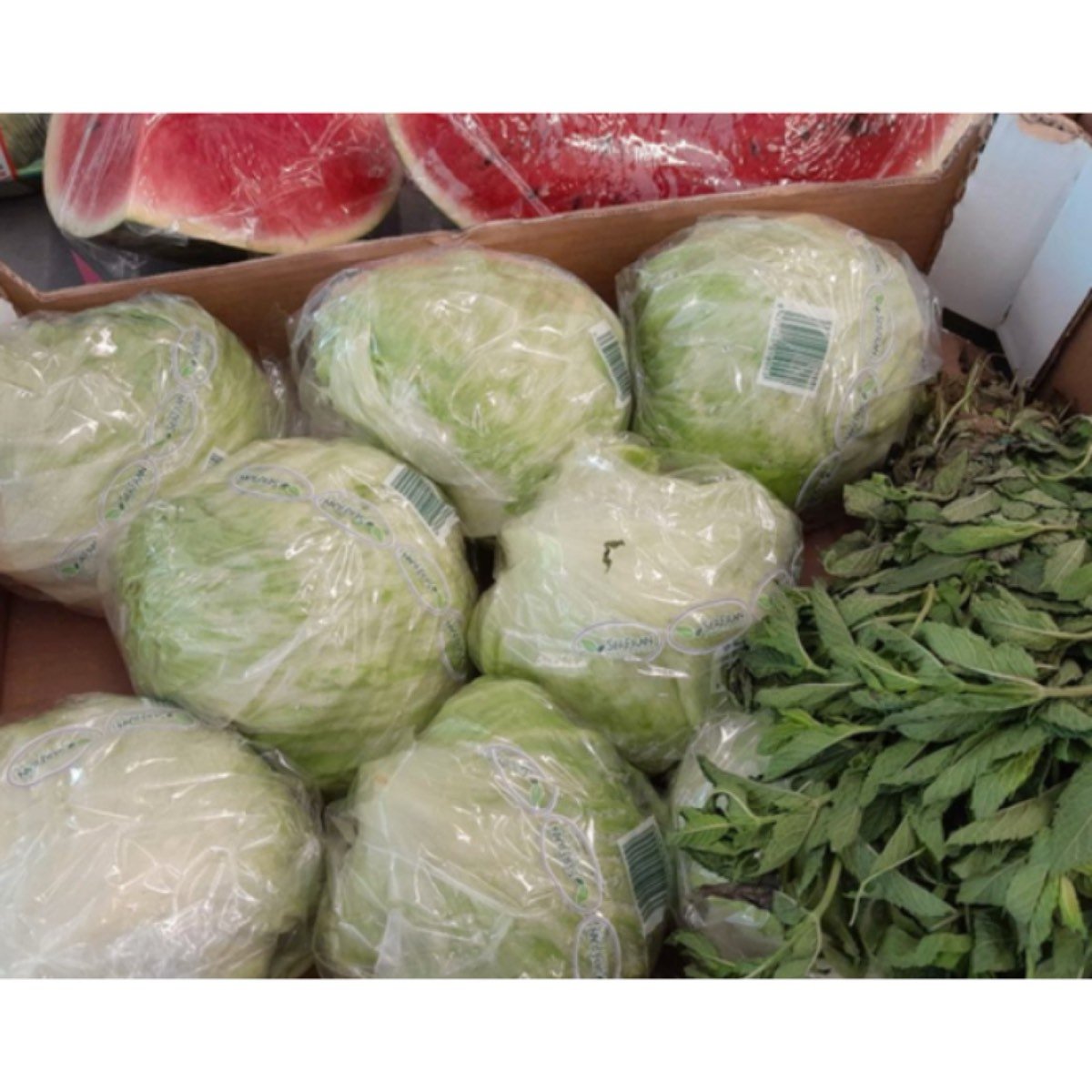 VENDO FRUTAS Y VERDURAS