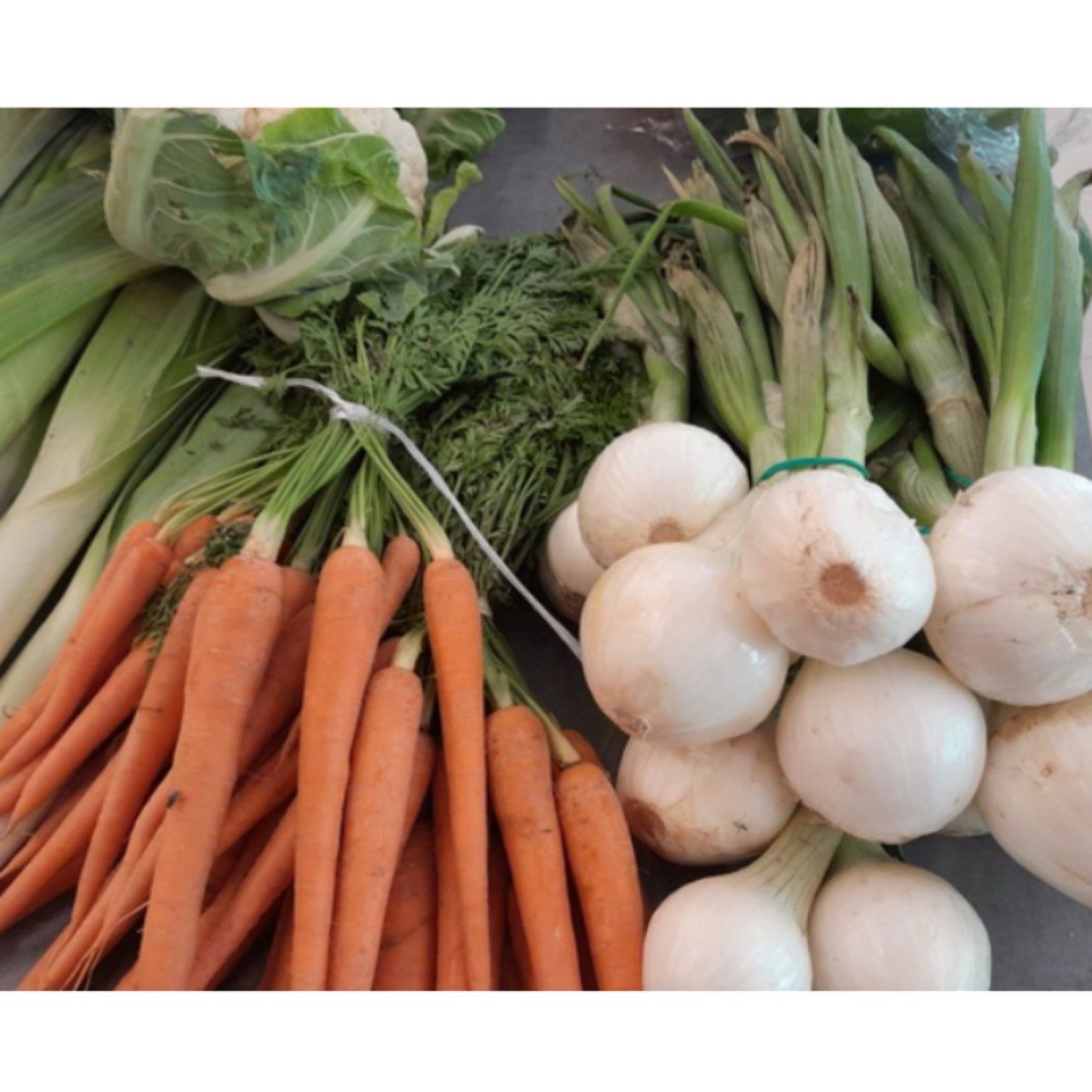 VENDO FRUTAS Y VERDURAS