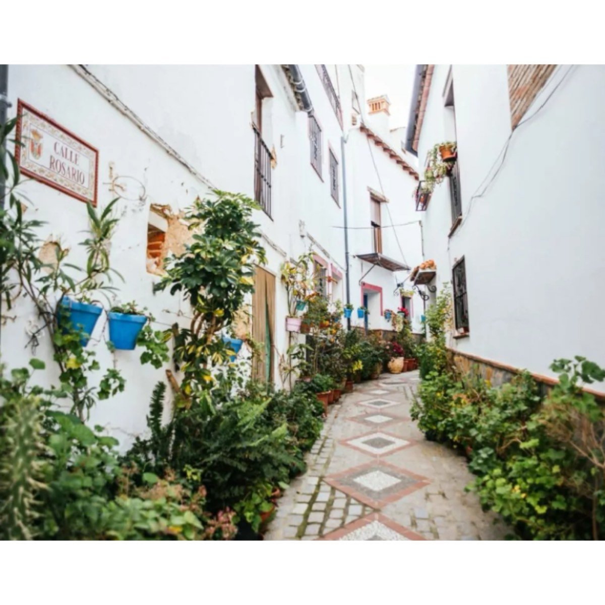 Benarrabá, pueblo de oportunidades.”