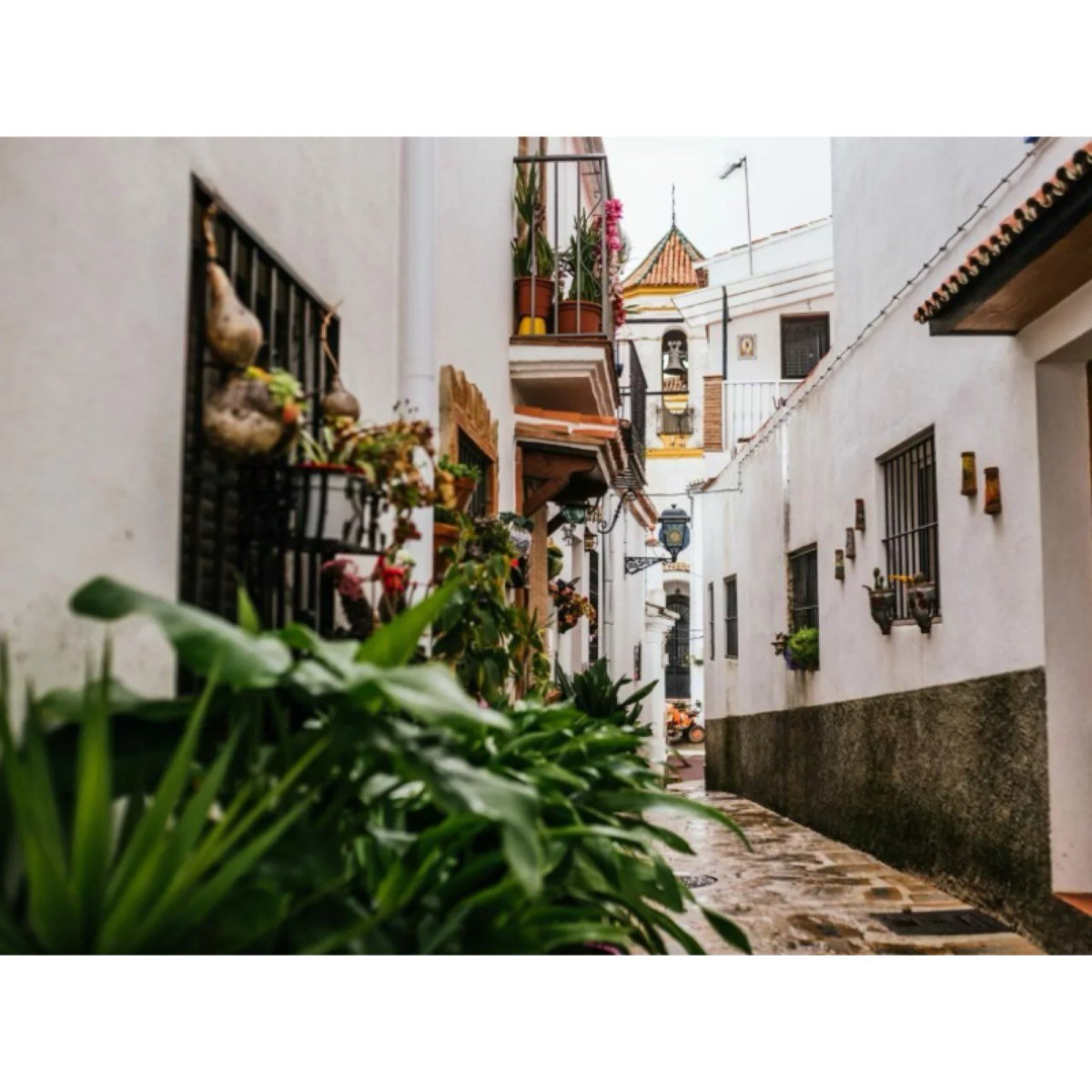 Jubrique