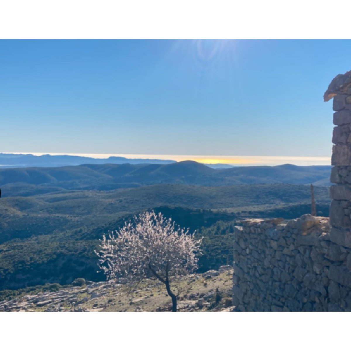 FINCA A LA VENTA EN LLUCENA DEL CID