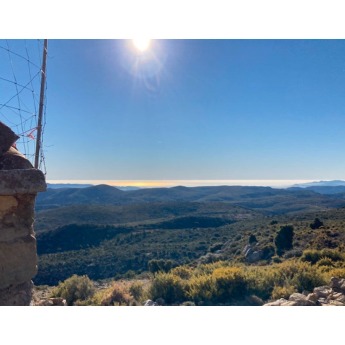 FINCA A LA VENTA EN LLUCENA DEL CID