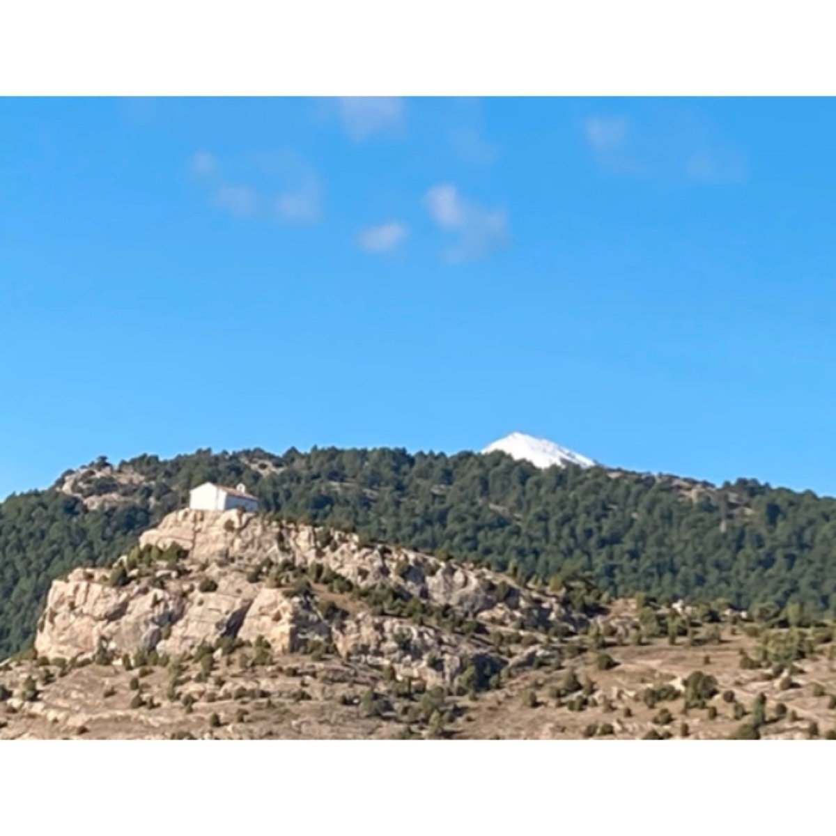 FINCA A LA VENTA EN LLUCENA DEL CID