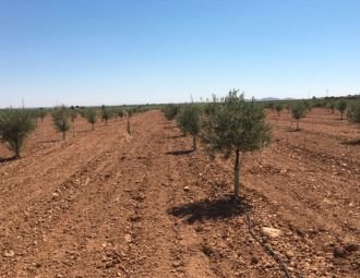 VENTA DE FINCA