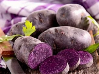 SE VENDE PATATA VITELOTTE DA TERRA CHA