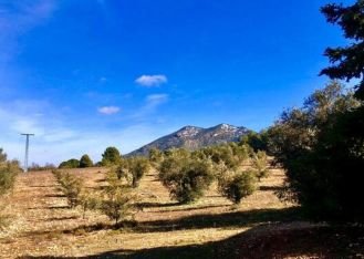 CASA RURAL EN BIAR, S/N, BIAR