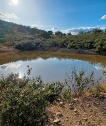 SE VENDE FINCA 4 CHARCAS 2 POZOS
