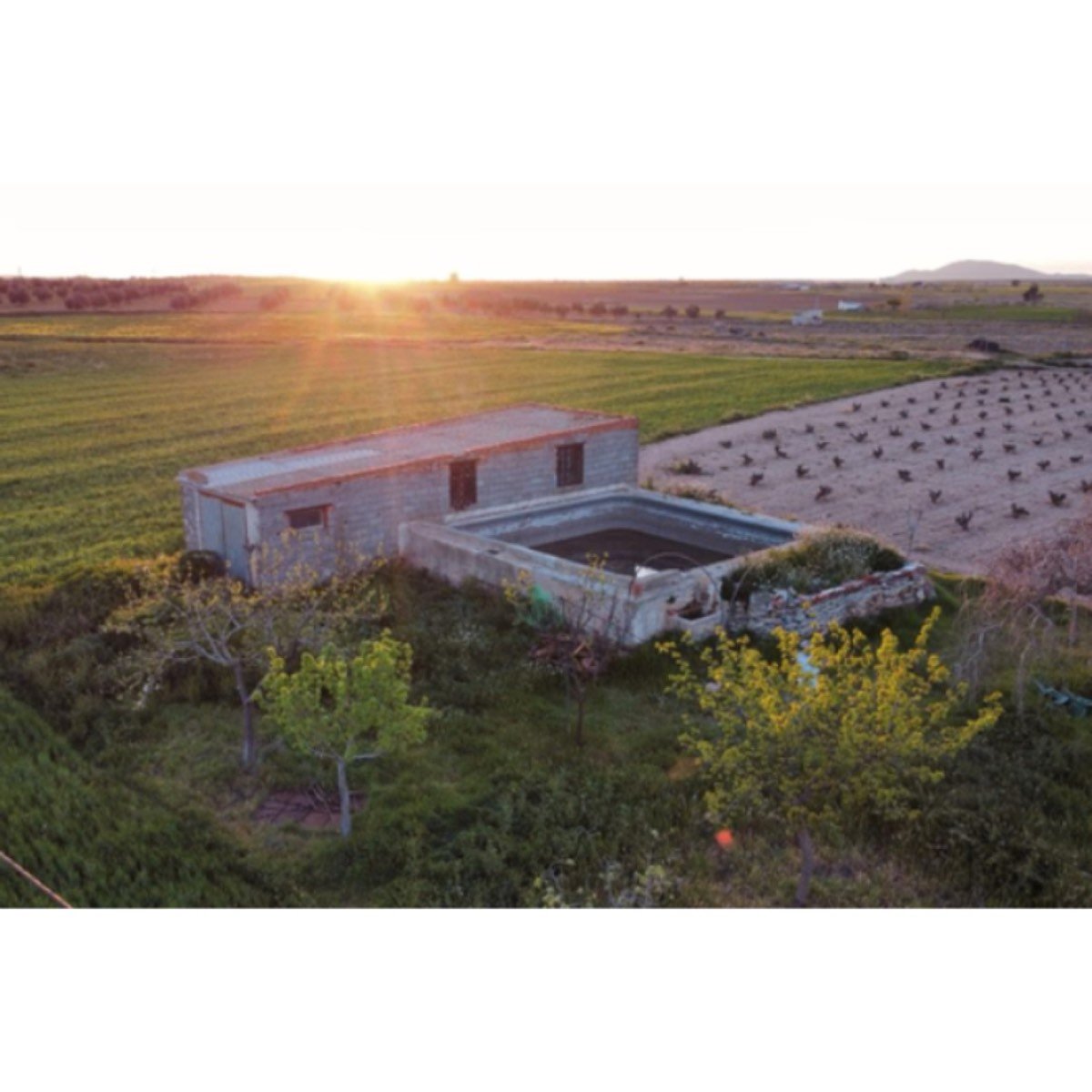 FINCA RUSTICA CON LUZ,AGUA Y CASETA