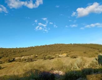 SE VENDE FINCA 4 CHARCAS 2 POZOS